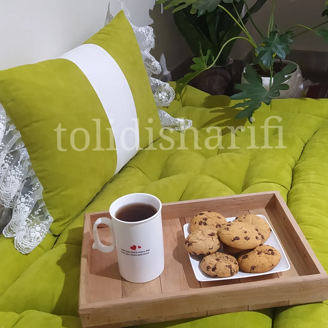 تشک بیسکویتی